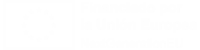 FINANCIADO POR LA UNION EUROPEA NEXT GENERATION